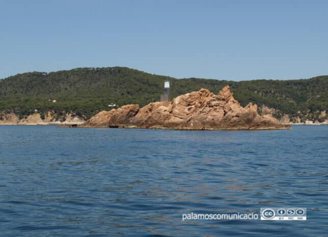 Amics de les Illes Formigues busca socis