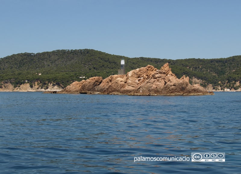 Amics de les Illes Formigues busca socis