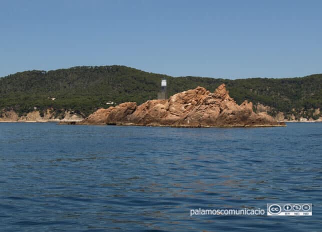 Amics de les Illes Formigues programa una xerrada sobre la troballa del vaixell romà