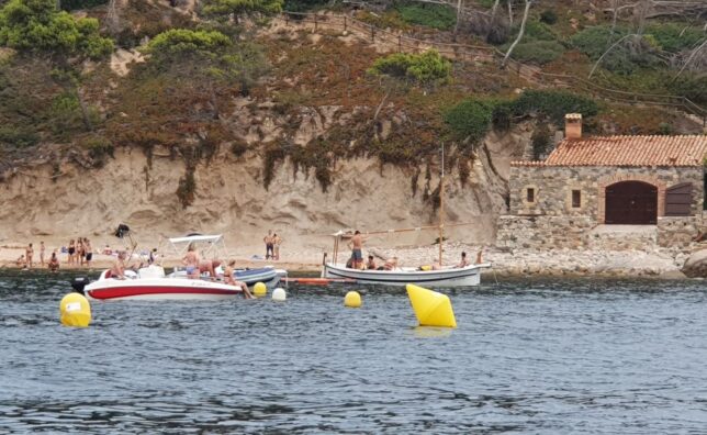 Salvem la Posidònia - Illes Formigues