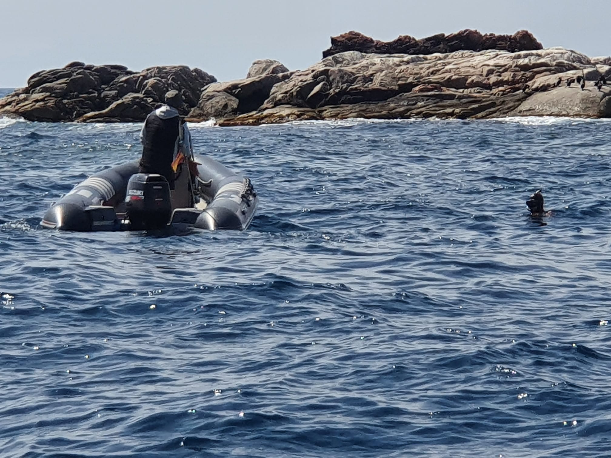 El perill dels concursos de pesca