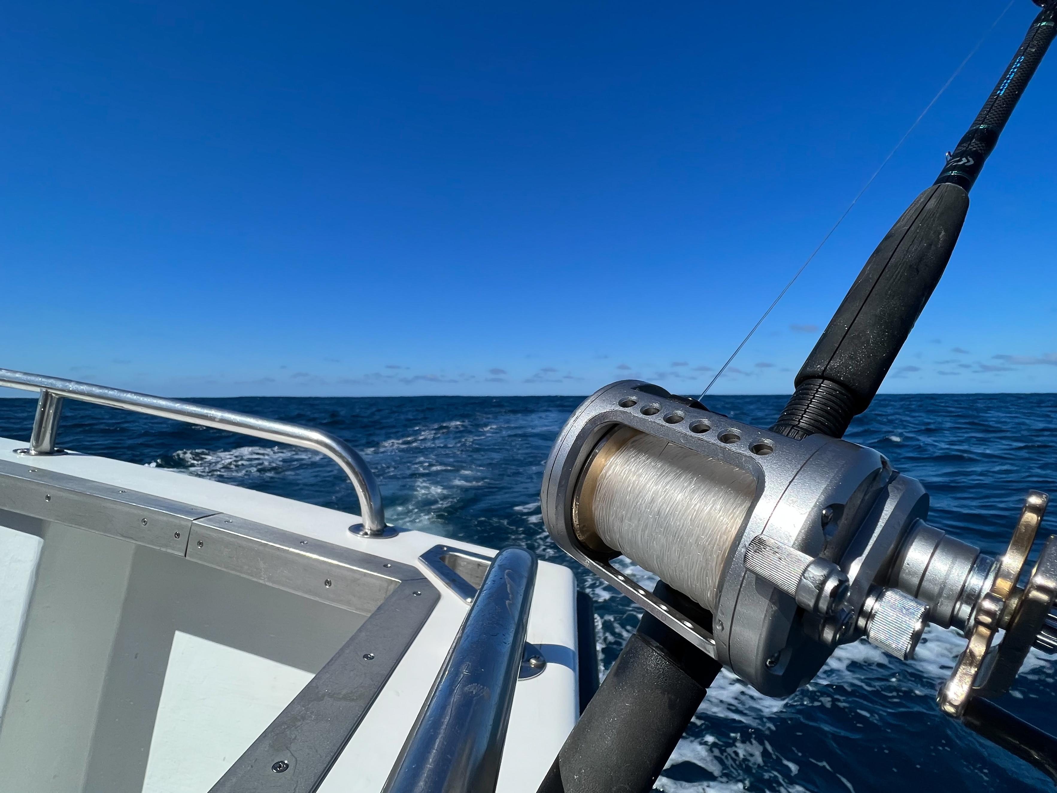 Estudi de recursos marins objecte de pesca marítima recreativa