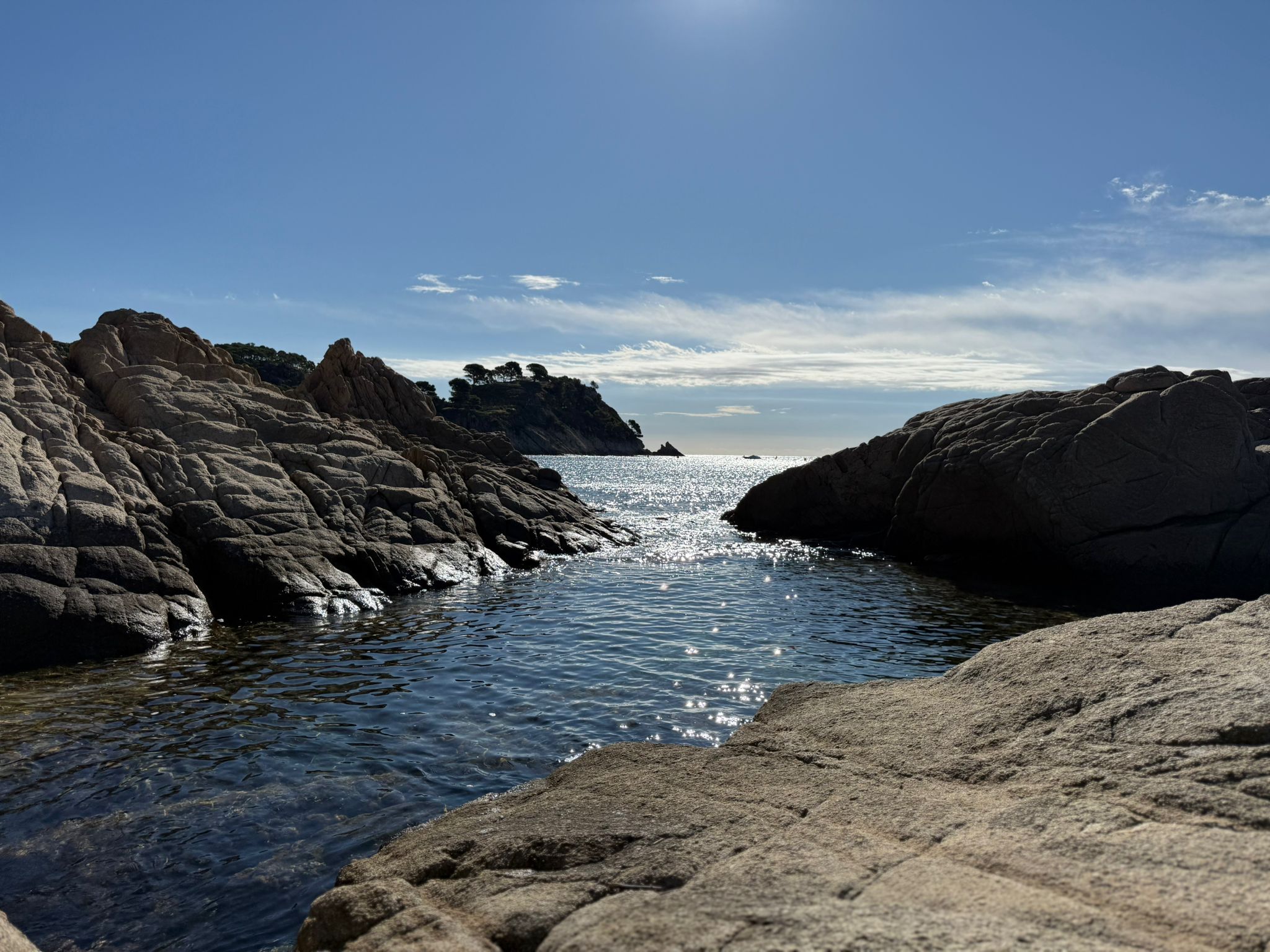 Conservació i restauració de fons marins